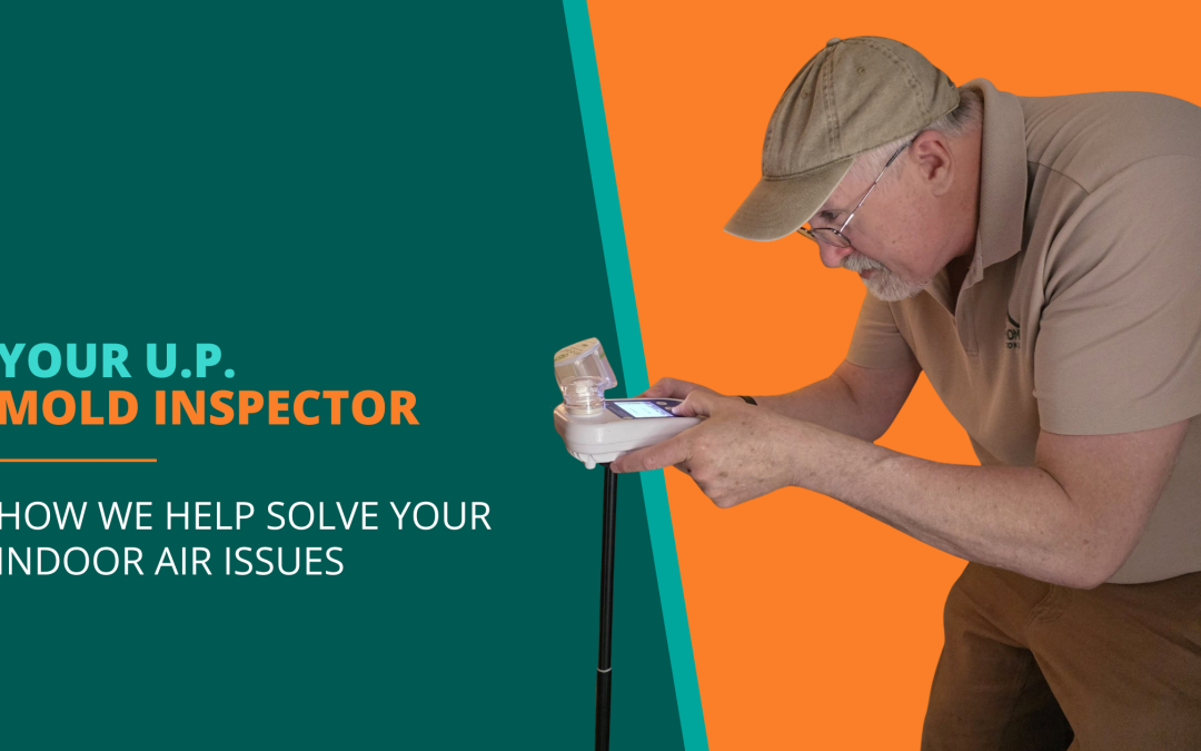 header image for Your UP Mold Inspector blog