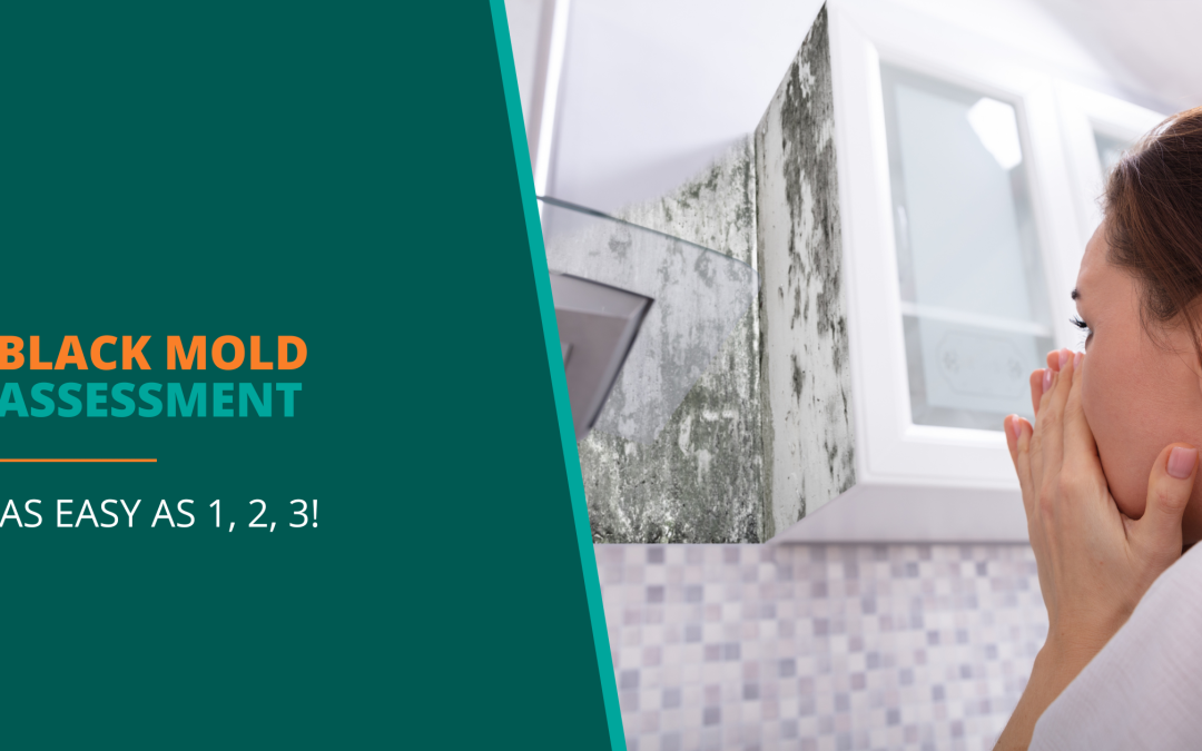 Blog banner- Black Mold Assessment