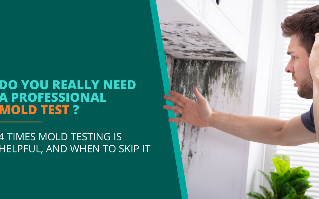 header image for do you need a professional mold test blog