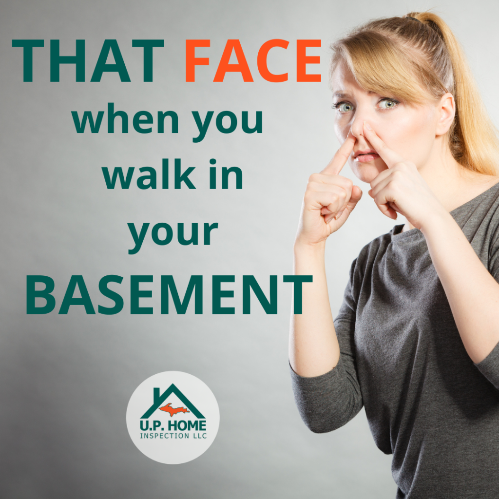 meme of woman holding nose: "that face when you walk in your basement"