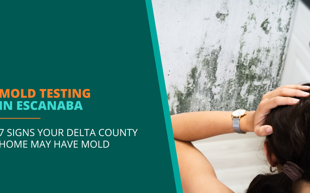 Mold Testing in Escanaba: 7 Warning Signs Delta County Homeowners Can’t Ignore