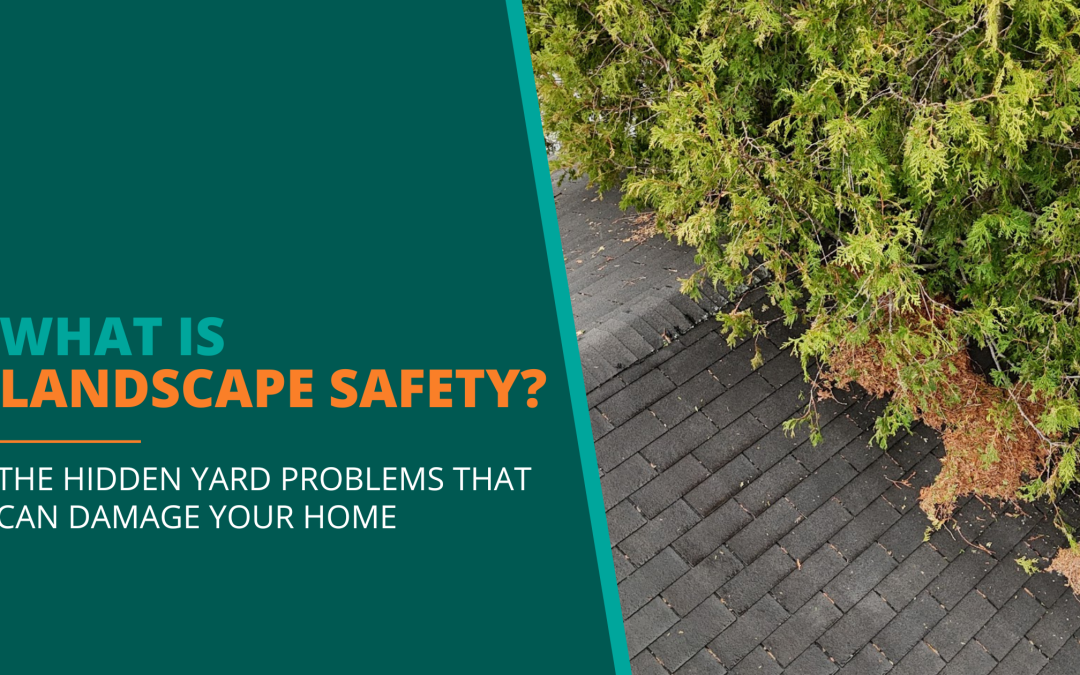 “Is the Yard Safe?” 5 Landscape Safety Risks Homebuyers Shouldn’t Ignore